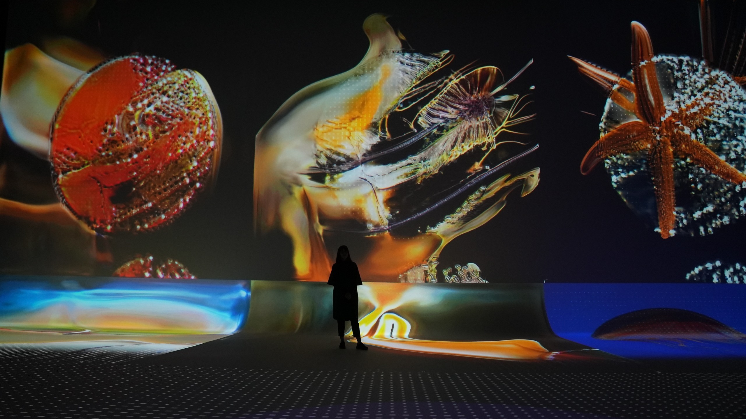 a visitor facing luminous marine-like forms across a large projection